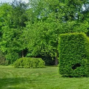manutenzione giardino condominiale